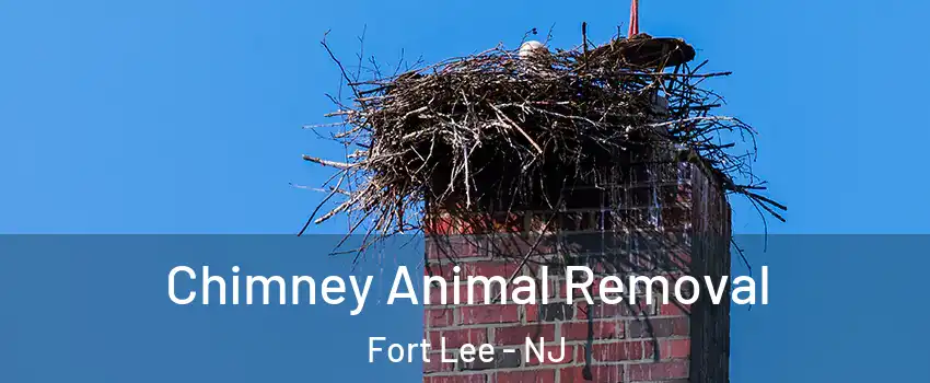 Chimney Animal Removal Fort Lee - NJ
