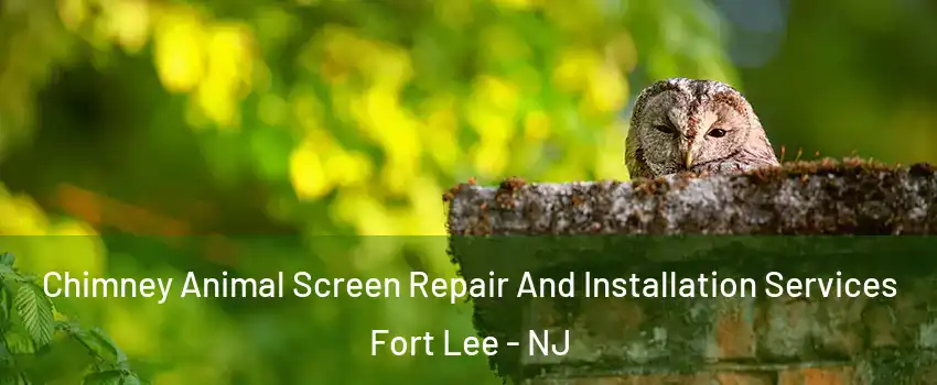  Chimney Animal Screen Repair And Installation Services Fort Lee - NJ