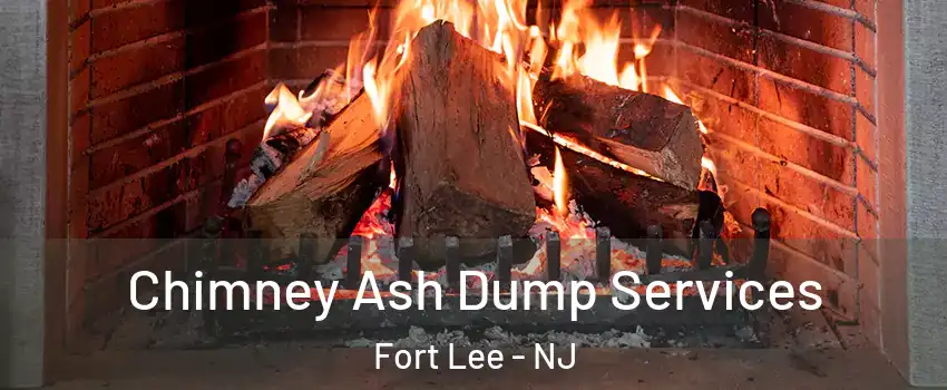  Chimney Ash Dump Services Fort Lee - NJ