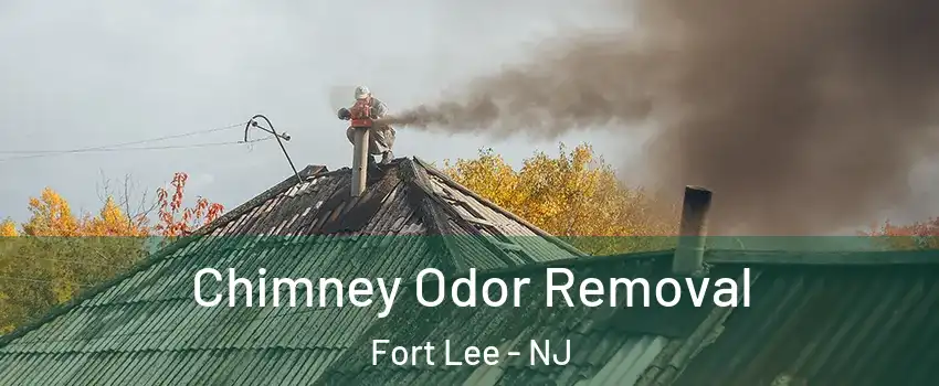  Chimney Odor Removal Fort Lee - NJ