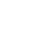 Professional Chimney Flue Installation in Fort Lee, New Jersey