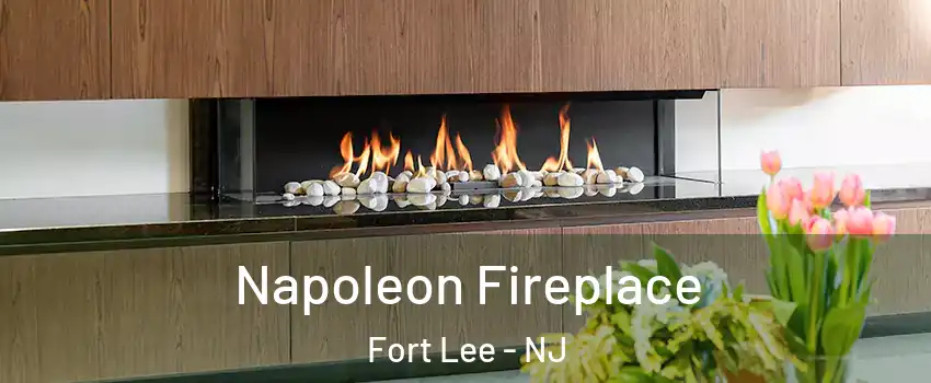  Napoleon Fireplace Fort Lee - NJ
